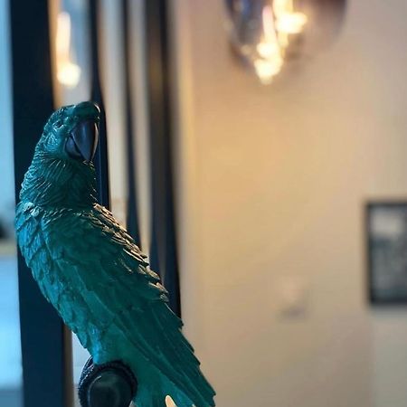 Appartamento Jungle garage privé netflix Saint-Etienne  Esterno foto