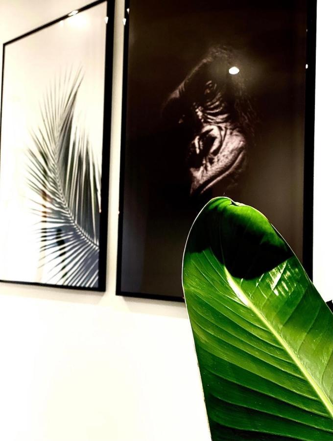 Appartamento Jungle garage privé netflix Saint-Etienne  Esterno foto
